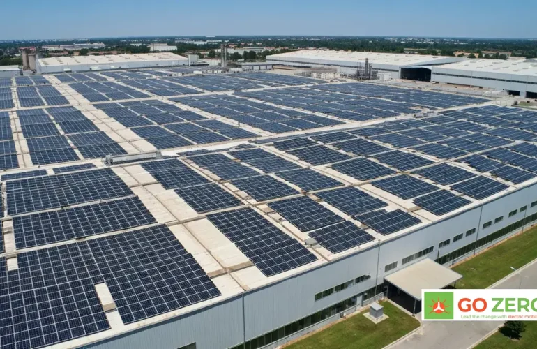 nang-tam-phuc-loi-xanh