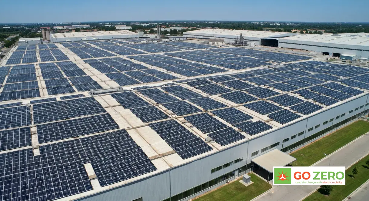 nang-tam-phuc-loi-xanh